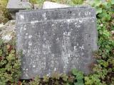 image of grave number 518173